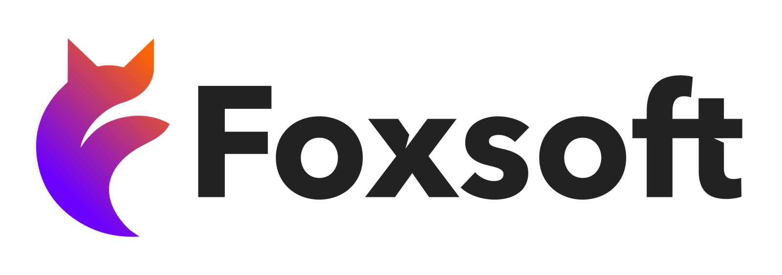Foxsoft Audio System